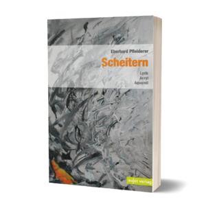 Eberhard Pfleiderer: Scheitern